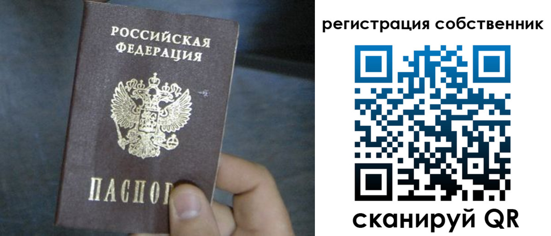 временная регистрация недорого в Димитровграде