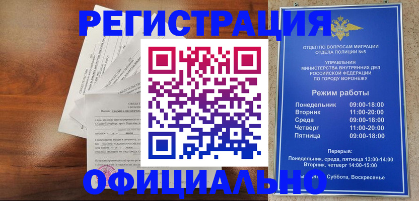 прописка поиск в Димитровграде
